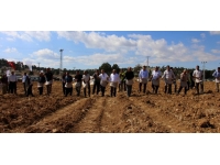 Mersin'de çiftçilere 50 ton ata buğdayı tohumu dağıtımına başlandı