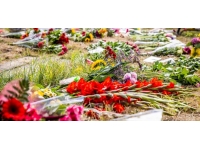 Enerji krizi Hollanda'daki seraları vurdu: Gıda ve çiçek üretimi düştü