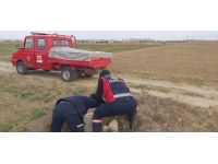 Su kuyusuna düşen köpek kurtarıldı