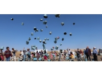 Karaman, cipslik patates üretimiyle ön plana çıkıyor