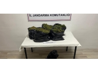 Samsun'da 15 kilo 160 gram esrar ele geçirildi