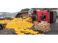 Samsun'da narenciye yüklü tır devrildi: 2 yaralı