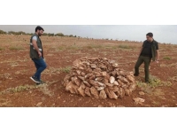 Şanlıurfa'da kaçak avlanan 13 kişi hakkında yasal işlem yapıldı