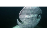 Şahika Ercümen, Gömeç Su Altı Heykel Galerisi'nde dalış yaptı