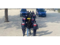 Bolu'da kaçak ağaç kesimi yapan 5 kişi yakalandı