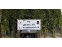 İzmir'de uyuşturucu operasyonu: 14 gözaltı