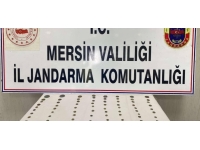 Mersin'de 80 bronz sikke ele geçirildi
