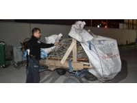 İnşaattan demir çalan at arabalı şüpheliler polisten kaçamadı