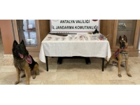 Antalya'da uyuşturucu operasyonu: 17 gözaltı