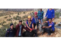 Adıyaman'da sarp kayalıklarda mahsur kalan 2 keçi kurtarıldı