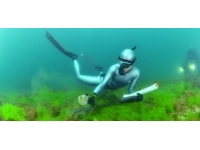 Şahika Ercümen kupayı denizden çıkardı