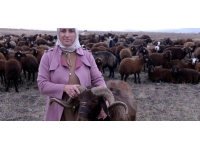 "Bir 'Sürü' Nedenim Var" projesiyle hayvanlarını artırdılar