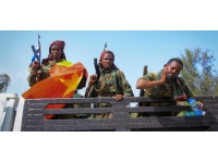 Etiyopya barış müzakereleri Güney Afrika'da başladı