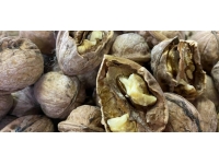 Ceviz zorlu üretim sürecinin ardından tezgahlardaki yerini alıyor