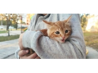 İtfaiye ekipleriyle birlikte kurtardığı kediyi sahiplendi