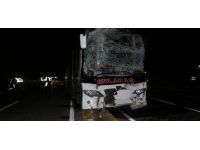 Sivas'ta yola çıkan at kazaya neden oldu: 15 yaralı