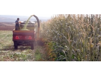 Yozgat'ta yem bitkisi üretiminin artırılması amaçlanıyor