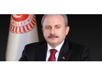 TBMM Başkanı Şentop'tan Bolu'daki kaza için taziye mesajı