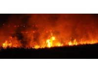 Mersin'deki Göksu Deltası'nda yangın