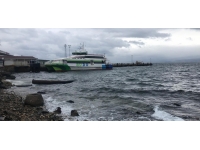 BUDO'da sefer iptalleri