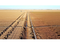 California’daki kuraklık ABD’nin gıda güvenliğini tehdit ediyor