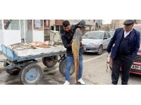 Ardahan'da 1 metreden uzun 5 yayın yakalandı