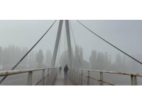 Ağrı'da sis sürücülere zor anlar yaşattı