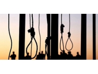 Tanzanya'da çevreci aktivistin ölümünden sorumlu 11 kişiye idam cezası