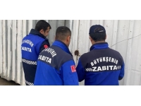 Kocaeli'nde çevreyi kirleten iki iş yerinin faaliyetine son verildi