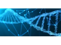 'Kutunun içindeki çocuğun' kimliği 65 yıl sonra DNA teknolojisi ile bulundu