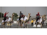 Katar'da develer üzerinde hentbol maçı oynandı