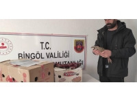 Bingöl’de yasak şekilde avlanan 13 adet kınalı keklik ele geçirildi