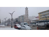 Bitlis'te kar etkili oldu