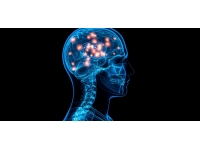 Güney Kore'de "Beyin yiyen amip" ilk kez ölüme neden oldu