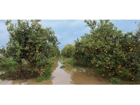 Antalya'da yılın ne yüksek yağış değeri Finike'de ölçüldü