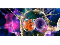 İngiltere'de en az 30 çocuk Strep A nedeniyle öldü