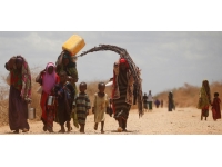 Ukrayna'dan gıda kriziyle mücadele eden Somali'ye 25 bin ton buğday desteği