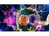 İngiltere’de en az 30 çocuk Strep A nedeniyle öldü