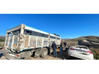 Mersin'de kamyon ile otomobilin çarpıştığı kazada 2 kişi öldü