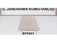 Ordu'da "torbacı" operasyonunda bir kişi tutuklandı