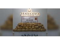 Van'da 216 kilogram uyuşturucu ele geçirildi