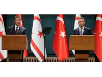 TC Cumhurbaşkanı Yardımcısı Oktay,  Başbakan Üstel ile telefonda görüştü