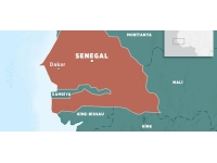 Senegal'de otobüsler çarpıştı: 38 ölü