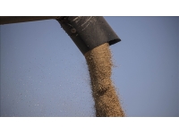 Ukrayna, Batı Afrika ülkelerinde tahıl merkezleri kuracak