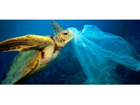 Plastik poşet kullanımı kalkıyor..Ataoğlu: Kararlı duruş sergiledik