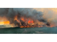 Fransa'da bir kişi 6 orman yangınını başlatmaktan suçlu bulundu