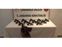 Çanakkale'de jandarma operasyonu: 3 gözaltı