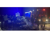 Aksaray'da otomobil vince çarptı: Aynı aileden 3 kişi hayatını kaybetti