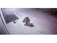 2 lastik boynuna, 2 lastik koltuk altına… Motosikletle lastik hırsızlığı kamerada