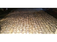 Porto Riko'da 1 tonu aşkın kokain ele geçirildi